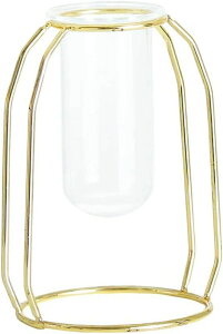 Zp[g CeA KX 01S[h  ֑} 20.5cm  Ԋ ԕr S[h 킢 t[x[X LO k j[N  Ԃт ACAA[g v[g