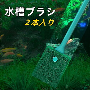 RP |pi ʃuV |puV ȒP ٗp N[jOuV 2Zbg y uV ^N