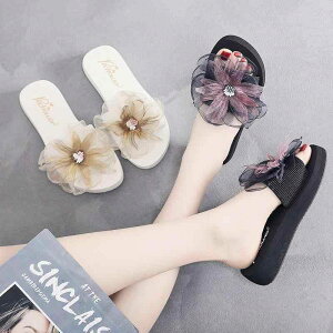  fB[X t Xbp t[ u[ bh CG[ T_ r[` 킢  [bp@