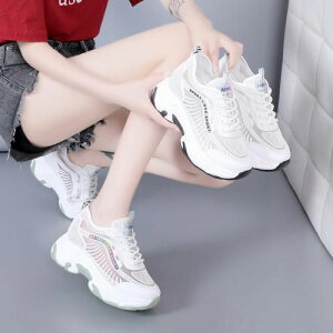 fB[X [bp@   t JWA ʋC V[Y  y X|[c  _bhXj[J[ bV ₷