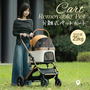 ybgJ[g Msize Ζʎ  2way ܂肽  ^ ^ tI[y 4 A~ [ y Xgbp[t _p[t gȒP J[g hbOJ[gybgobO