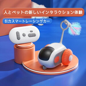 y悠zC^NeBudL L ƃR2[h R ybg X}[gR dL ʔL̉H USB