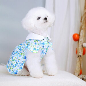 hbOEFA tĐV efB xA v[h XJ[g \ ԕXJ[g ybgEFA