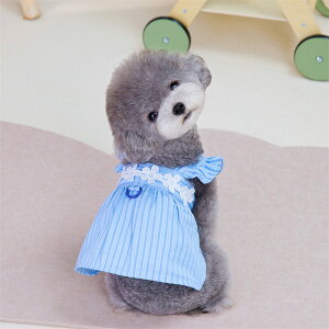 hbOEFA tĐV efB xA v[h XJ[g \ XgCv h[XJ[g ybgEFA