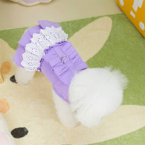 hbOEFA tĐV efB xA v[h  GKg tOX \ XJ[g ybgEFA