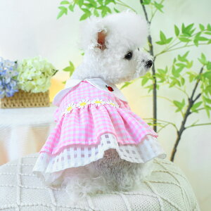 EFA   t V ^ 猔F   sN `FbN egEV XJ[g