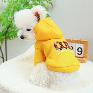 EFA  L  ʋC K vg  gu F XEFbg