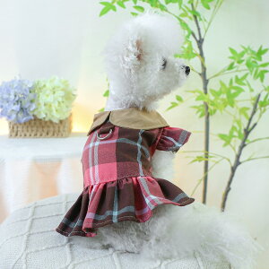 EFA   L  t  [v h[J[ `FbN w hX