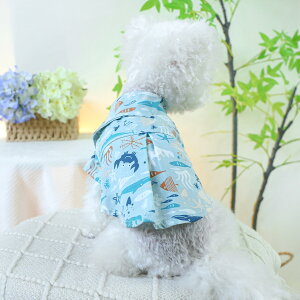 EFA   t V ^ ps[  Pw  C Vc