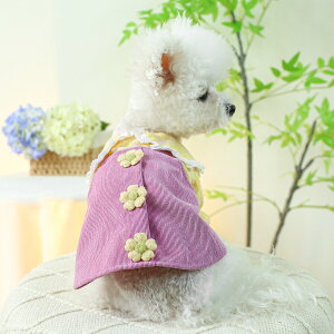 EFA   t V ^  F  F F ԕ hX