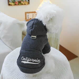 EFA ybg     r t[h  JtHjA O[ `R[ N[XEFbg