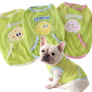 t`uhbO `[Y bV xXg   pu pO R[M[ K[tB[h