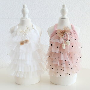  L  ybg  hbg tbL[  hX 2024 t V