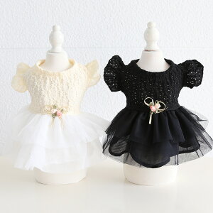  L  ybg  [X hX  hX 2024 t V