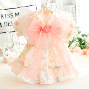  tėp  Lp vZXhX  ԕ t[hX Č ^ ^ ybgp 킢