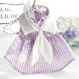  tėp  Lp vZXhX ݕt vghX Č ^ ^ ybgp 킢  TCYL