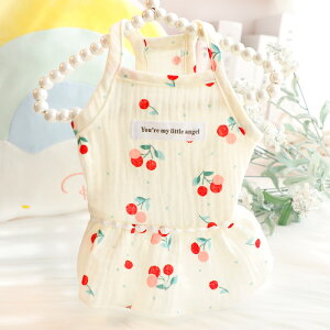  tėp  Lp vZXhX VÂ ݂X^C `[XJ[g Č ^ ^ ybgp 킢