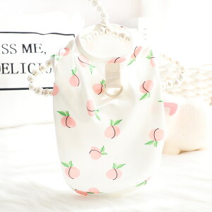   t  L P xXg [ht TVc Č ^ ^ ybg 킢