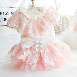   L P hX  ItV_[ [X hJ EFfBOhX Č ^ ^ ybg 킢