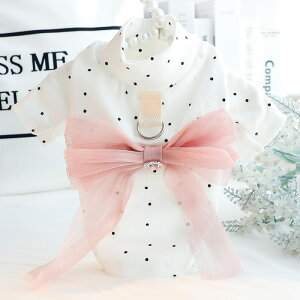   H~ Ci[ L  tFA[ [EFA [ht Č ^ ^ ybg 킢