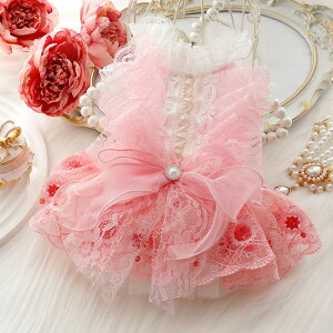   H L  hX   sN [X Č ^ ^ ybg 킢 nEB  TCYL