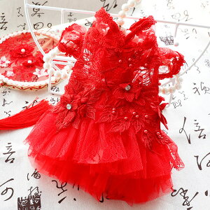   L  hX   `CihX V[X^C Č ^ ^ ybg 킢