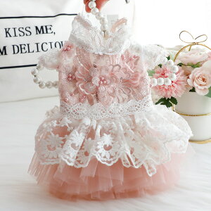   L  hX   `CihX V[X^C Č ^ ^ ybg 킢