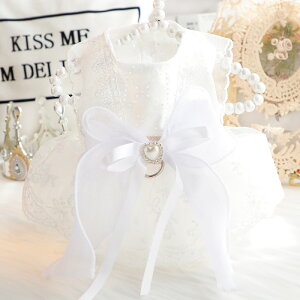  t  Lp vZX hX WFj[ EFfBOhX ^ ^ 킢