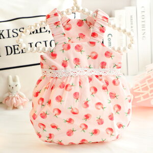  t  Lp vZX hX _炩s[` ^ ^ 킢