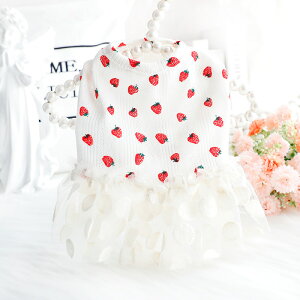  t  L vZX hX  {[XJ[g `[ Č ^ ^ 킢