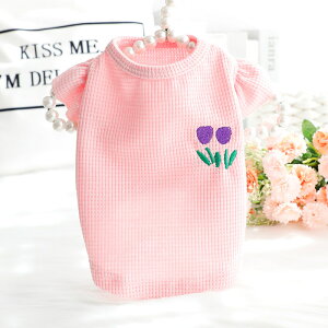  t  L vZX xXg t TVc hJ Č ^ ^ 킢