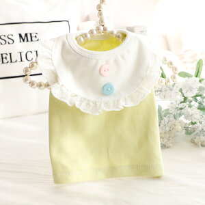  t  L vZX xXg Ci[ z[EFA Č ^ ^ 킢