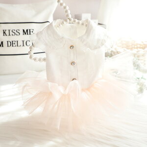  t  L vZX hX WWs[` {[ Č ^ ^ 킢