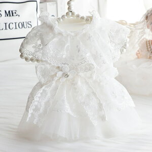  L vZX hX EFfBOhX hJ zCg [X Č ^ ^ 킢