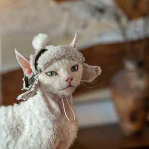 DreamPet А t[X sX єL f{bNX E[ ~p o L