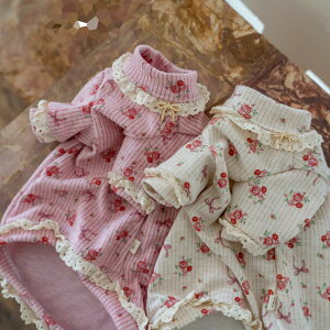 DreamPet єL f{bNX L XEFbg  fB  H~