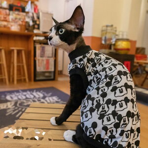 DreamPet f{bNX L IG^V[g єL Rbg ~bL[}EX vg TVc xXg