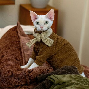 DreamPet [h ybgpR[f єL f{bNX L XEFbg Zbg ؍ n ۉ