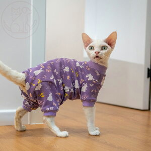 DreamPet ANX xr[Rbg  lr f{bNX L e Ci[ p㕞