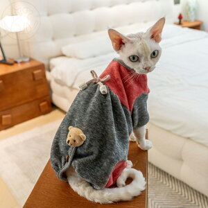 DreamPet  t[X  lr f{bNX L єL e p㕞 Lɂ