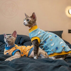 DreamPet ANX xr[Rbg ۉ f{bNX L єL t[X J[gD[ xXg