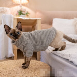 DreamPet єL L f{bNX g Z[^[  n JWAR[g