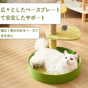 L̓og ^ L̃xbh L̒܂Ƃ L̖ ̌^ L̘g qL̂ ybgpi