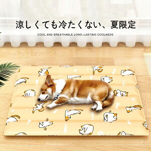 ybg̗p}bg ̉ėp̃xbh p}bg L̐Q}bg Ă̐ppu ybgpxbh