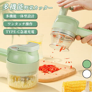 4 in 1 @\Jb^[ 莝@ 蓮d؃XCT[Zbg 蓮jjNi jjN hq ^}lM IpXCT[Zbg ]݂؂ 莝@ USB[d 