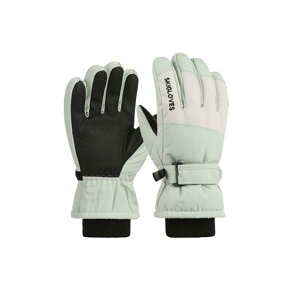 XL[ O[u LbY  ܖ{w q XL[ Xm[{[hO[u X}z Xm[{[h WjA h N  ^b`Ή