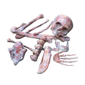 �n���E�B�� �[�� ���� ���W�� �A�[�� �荜 ���� �X�P���g�� ���A�� �� �S �H�� ���| �̎��� �͌^ ���f�� �C���e���A �p�[�e�B�[ �O�b�Y ���������~ ���� �o�[ �X����