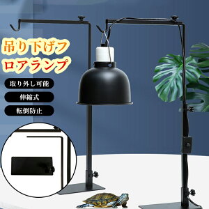 �����f�B���O�����v�X�^���h�A�����f�B���O���C�g�u���P�b�g�A�J���y�b�g঒��ރX�p�C�_�[�z�[���p�̎��O���\�ȕό`�h�~�h�K