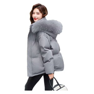 _EWPbg fB[X t@[t_EWPbg y Xqt _ER[g AE^[ h ~ 