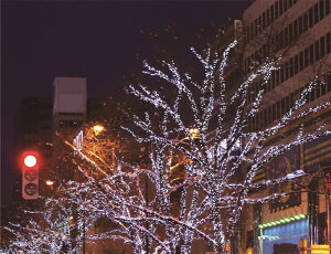 LED100@C~l[VCgiJtjo\[[[dp